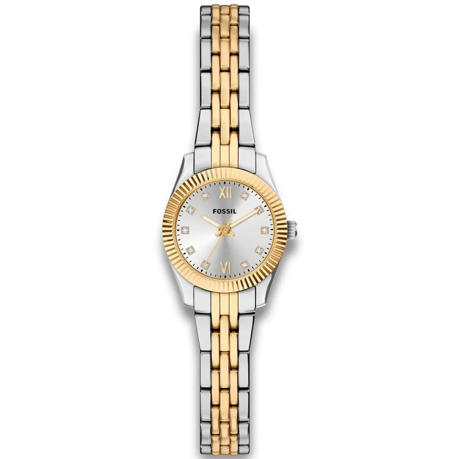 MONTRE FOSSIL ES5473